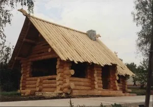 Előnyei és hátrányai a tető borítja táblák készült tűlevelű fák