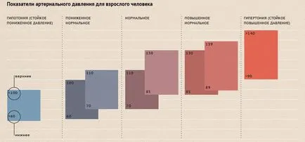 unitate de măsură și principalii indicatori ai tonometru - magazin stetoscoape