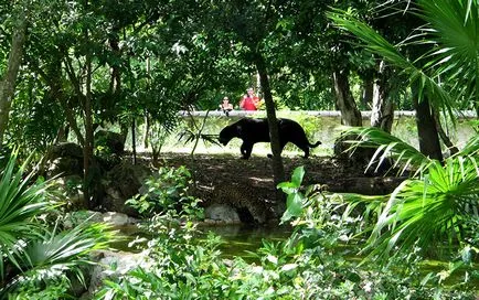 Atracții Cancun (Mexic) - Ghid pentru Cancun, descriere, fotografii, harta