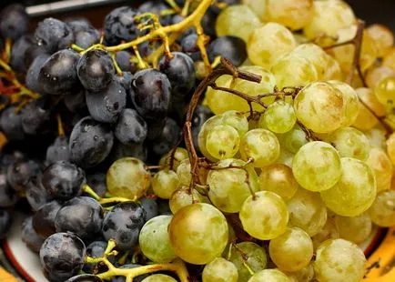 Házi pálinka szőlő pálinka kezüket szőlőfajták és hogyan brandy