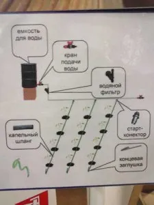 Csepegtető öntözés saját kezűleg - tippek épület