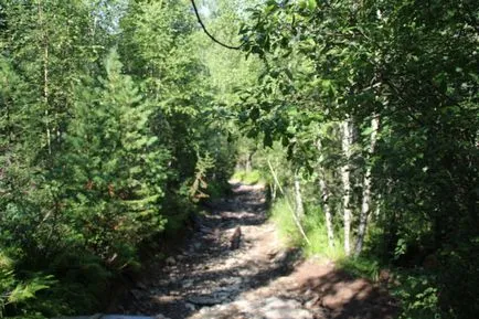 Lacul Karakol (Altai), cum să obțineți ruta, în cazul în care să stați, un site despre care călătoresc în jurul lumii