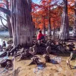 Cypress Lake (szukát) - fotók, térkép, leírás