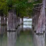 Cypress Lake (szukát) - fotók, térkép, leírás