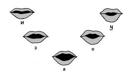 Clasificarea vocalelor