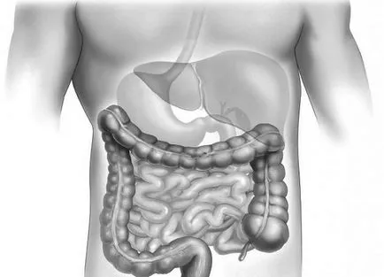 Klebsiella în intestinul unui adult modul de a trata pneumonie