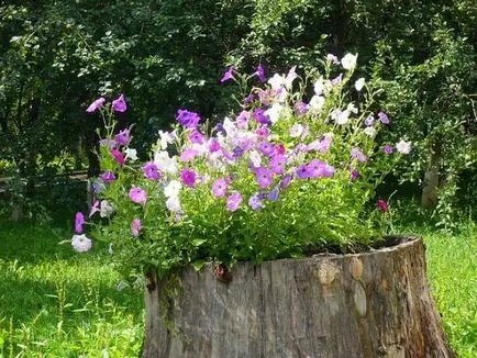 Virágágyásba tuskók és rönkök - triviális díszítése a kertben, saját kezűleg (tanya)