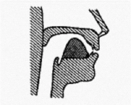 Clasificarea vocalelor