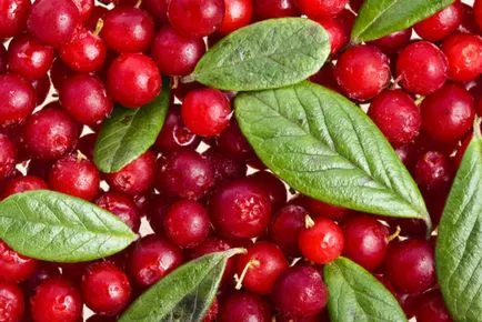 Cranberry с мед ползи и рецепти