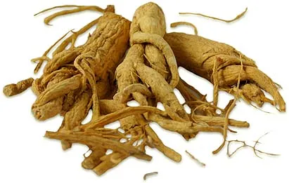 Ginseng rădăcină proprietăți utile și contraindicații