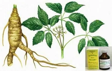 Ginseng instrucțiuni Tinctura de rădăcină de utilizare, contraindicații