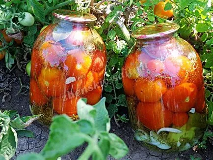 Домати консервирани, домати за зимата без стерилизация