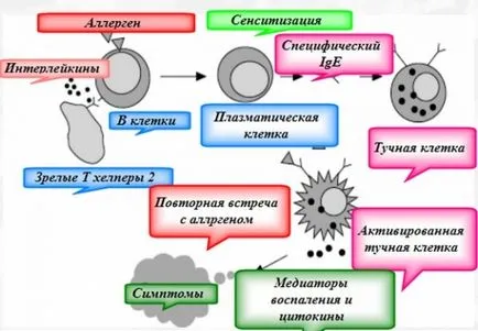 Червен паяк обратна връзка и обучение на патогена, свидетелството