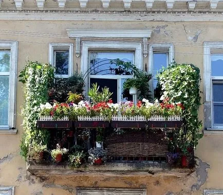 frumos balcon cu flori, 16 fotografii de exemple de grădini pe balcoane și loggii, care pot fi cultivate