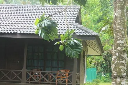 Kuala Lumpur, Langkawi Perhentian