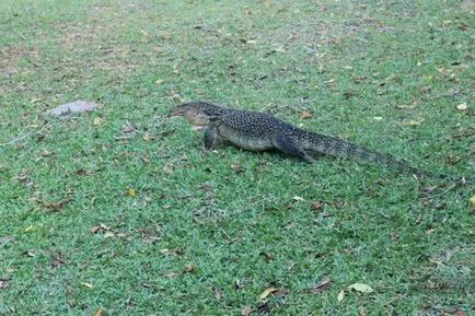 Куала Лумпур, Лангкави Perhentian