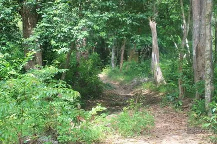 Куала Лумпур, Лангкави Perhentian