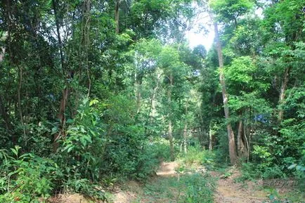 Kuala Lumpur, Langkawi Perhentian