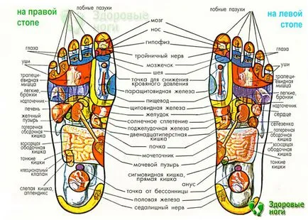 Vand vibratoare Massager piciore cu role electrice