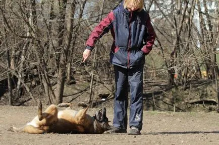 Szárítógépek és a személyzet die - oktatóanyagok