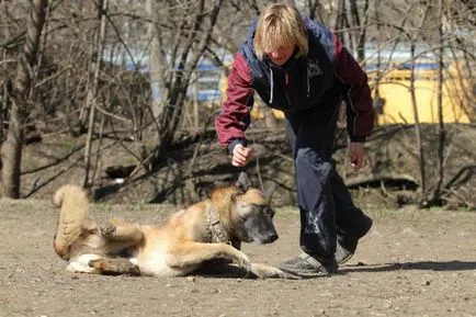 Szárítógépek és a személyzet die - oktatóanyagok