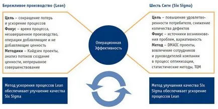 Lean Six Sigma (постно шест сигма) - Управление на производство