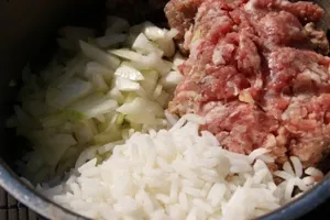 Arici de carne tocată cu orez fiert cu sos intr-o tigaie - fotografie-pas de gătit rețete