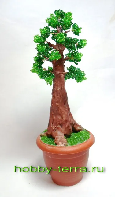 Master class de fabricație cedru bonsai-margele cu mâinile, hobbiterra - busola din lume