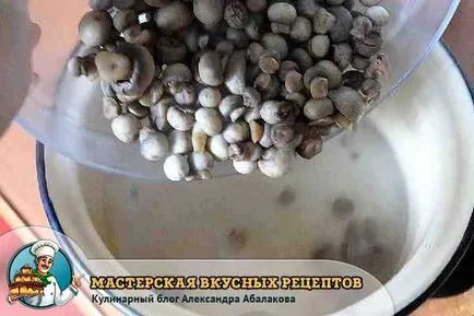 A pácolt gombát az otthon - a recept egy fotó