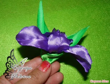 Master class iris kanzashi - Atelier - Antares