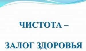 Комари в банята, тоалетната - как да се отървете от, какви са начините