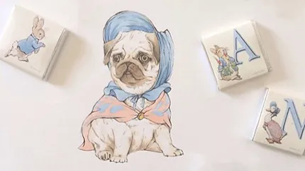 Pugs Kennel fekete csíz a fajta információ, képek a pugs