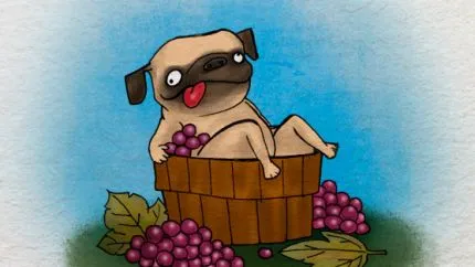 scatiu Pug Kennel Negru despre informația rasa, poze cu Pug