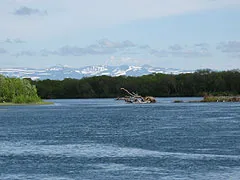 В Камчатка за Chinook