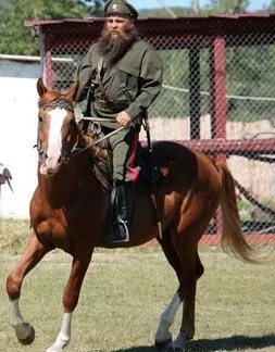 Whip pentru educație