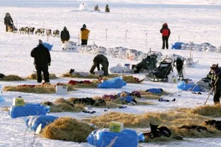 Аляска завърши Iditarod 2012