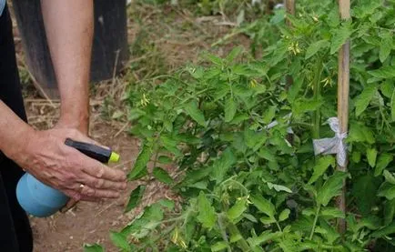 sere sulfat de cupru de prelucrare a plantelor în primăvară la sol în toamna, fier, policarbonat