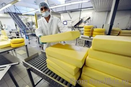 Echipament de producere de brânzeturi, idei de afaceri mici