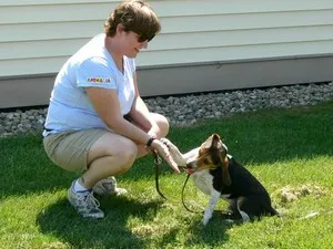 Beagle de formare Fundamentele