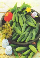 Zöldségek, fűszernövények, gyógynövény