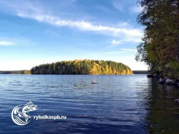 Lake огледало - риболов ще бъде успешен! Всички езерата от региона Ленинград и видовете риба обитаване