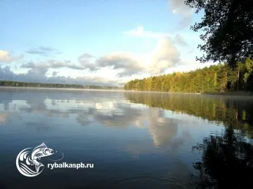 Lake огледало - риболов ще бъде успешен! Всички езерата от региона Ленинград и видовете риба обитаване