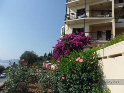 Revizuirea acest hotel belvedere 3 în Grecia, Corfu de la sandero888