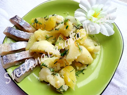 cartofi fierți cu ceapă, blog Svetlana Barabash