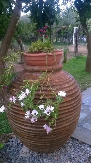 Terasă la cabana mâini foto, video de instruire lui