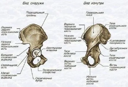 Счупване на ацетабулума причинява, на лечение, последствията и възстановяване, инвалидност