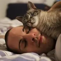 Miért a macska váltotta helye az alvás