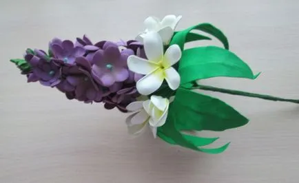 Plumeria foamirana точкови микрона със снимка, майстор-клас foamirana