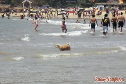 Baga Beach în Goa și plaja Baga - plaja principală în Goa