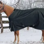 Одеяла за коне видове и типове, снимка, моите коне